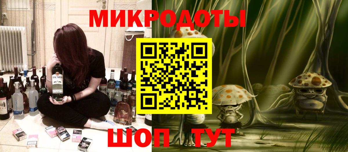 Ачхой-Мартан  Псилоцибиновые грибы Psilocybe  Вход с VPN 